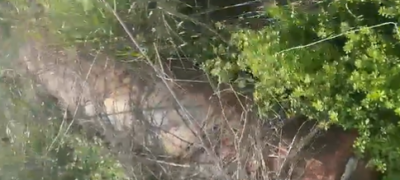 خطر ميداني جديد… العثور على صاروخ غير منفجر في بيوت السياد (فيديو)