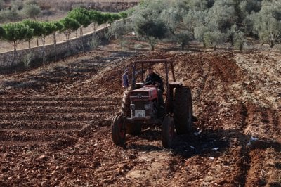 ملفٌ طال انتظاره... تحرّك رسمي لإنصاف المزارعين