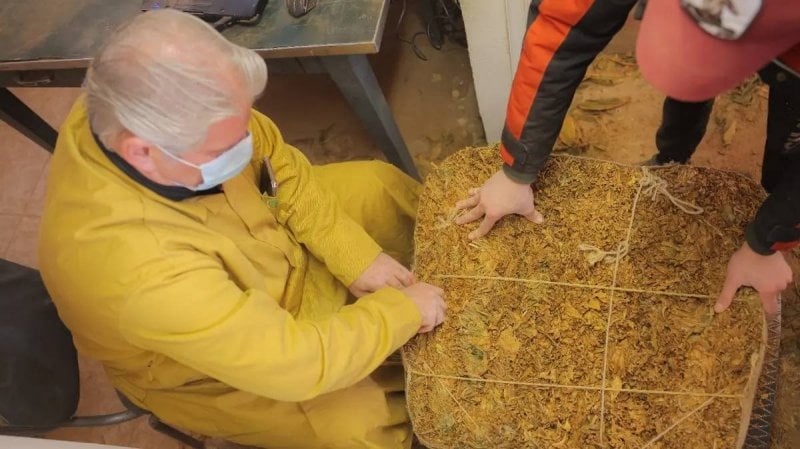 بشأن شراء محاصيل تبغ البقاع… بيان من “الريجي”