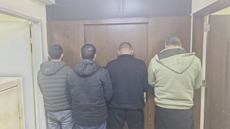 ضبط مواشٍ مهرّبة في المِنية والشويفات… وتوقيف المتورطين