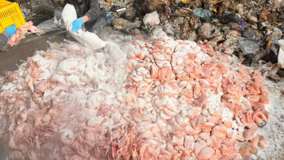 مداهمة صحّية في سعدنايل… 