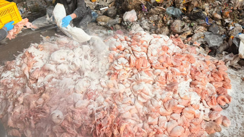 مداهمة صحّية في سعدنايل… "الأمن" يضبط أطنان دجاج فاسد ويوقِف 10 أشخاص(فيديو)