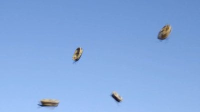 نساء إسرائيليات تتقمّصن 