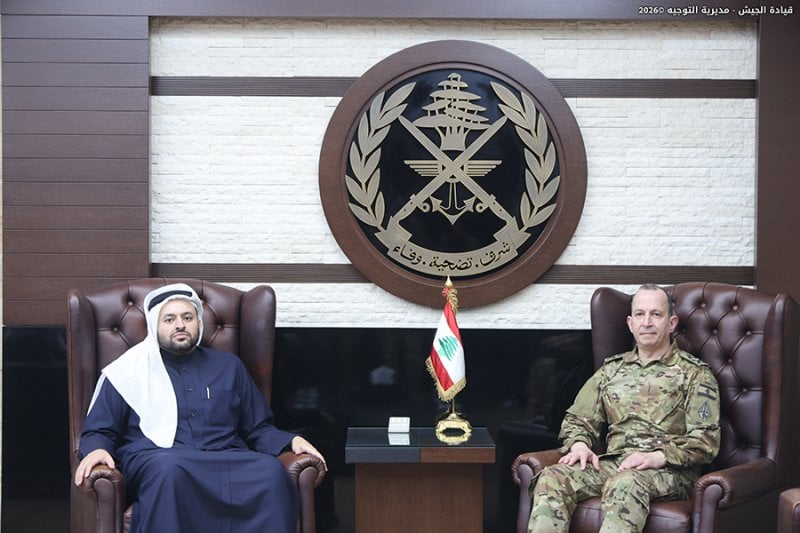 هيكل يستقبل وفدًا قطريًا... دعم متواصل للجيش في مواجهة التحديات