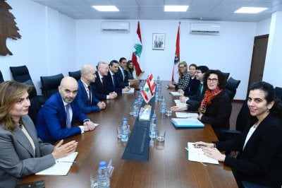 لقاء نمساوي في بيروت… رجي: دعم الجيش وعودة اللاجئين السوريين أولوية