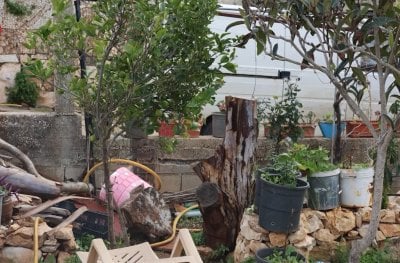 مشاهد من الأفلام... عائلة وحيدة عادت إلى العديسة!
