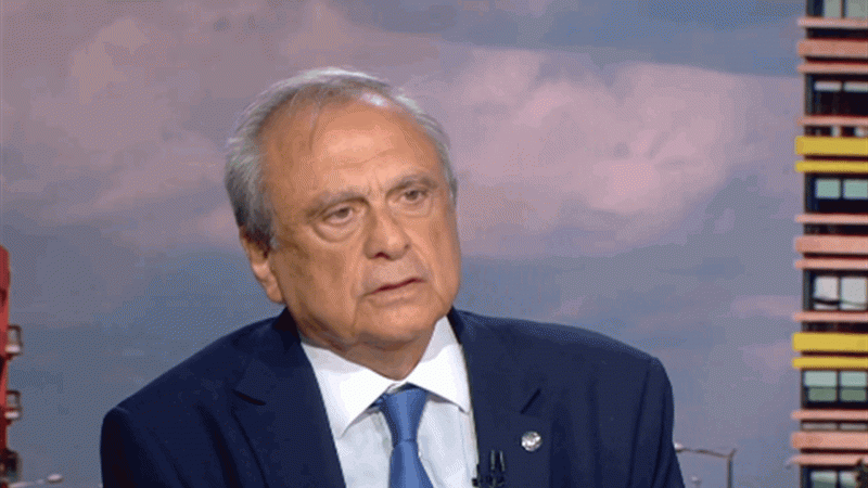 "تنظيم العمل في الخارج خطوة حكيمة"... حبيب يشدد على دور الدولة