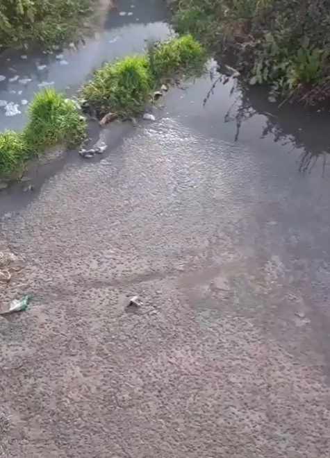 مخالفة بيئية جسيمة في الليطاني… المصلحة الوطنية تدقّ ناقوس الخطر (فيديو)