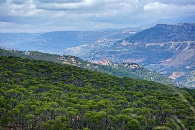 سموم إسرائيلية تضرب الجنوب