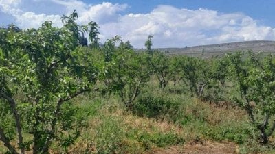 مواد سامّة محتملة فوق القرى الجنوبية… تحقيقاتٌ بيئية عاجلة