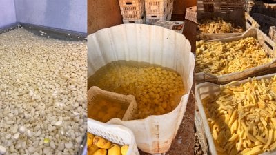 ختم بالشمع الأحمر وتوقيف… معمل غذائي مخالف يُقفل في البقاع (صور)