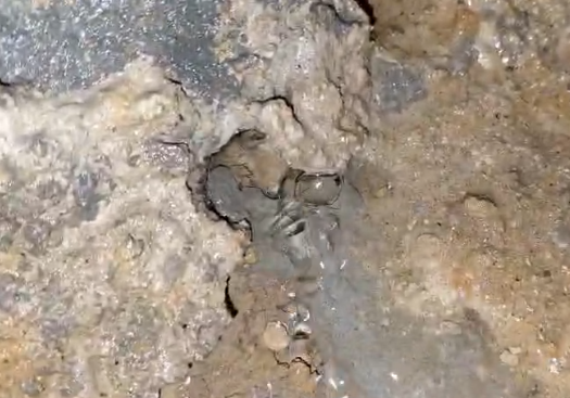 مياه صرف صحي تداهم الدكوانة… مؤشرات إنشائية مقلقة والبلدية تتحرّك (فيديو)
