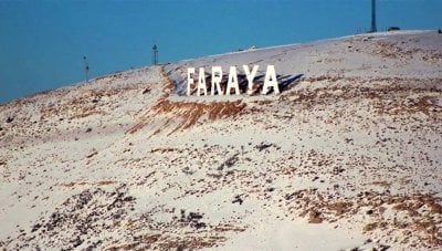 شبكة عائلية تسرق سيارات الزبائن في فاريا