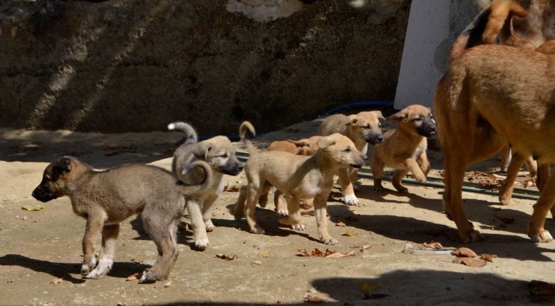 حين يتحوّل "الملجأ" إلى مقبرة… صرخة إنسانية تهزّ صيدا!
