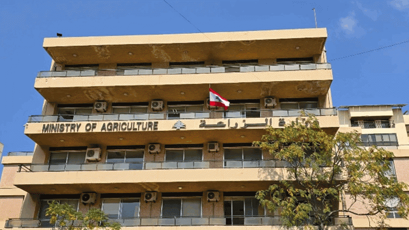 الزراعة تعلن إنجاز الجرعة الأولى للأبقار