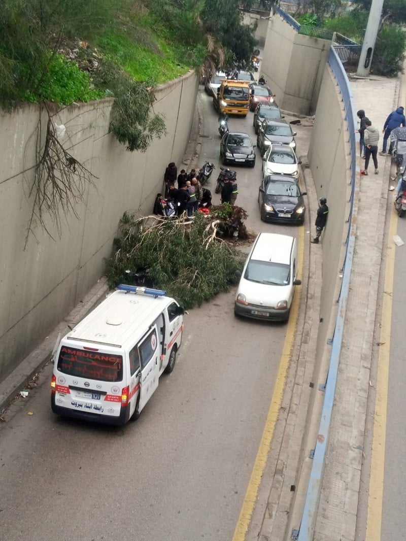 تحت جسر قصقص… شجرة ضخمة تسقط على أحد المارّة (فيديو)