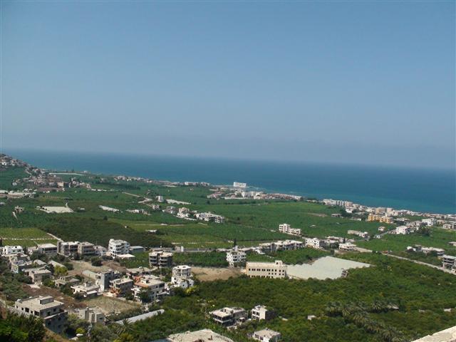 إشكال يتحوّل إلى جريمة... قتيل داخل محل في الصرفند