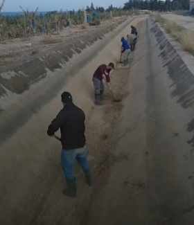 استعدادًا لموسم 2026… الليطاني يواصل تنظيف 