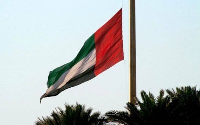 مخطط رقمي لإرباك الدولة يُفشل… الإمارات تُحبط هجمات سيبرانية 