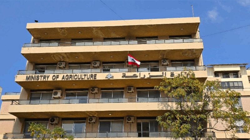 خطوة استراتيجية لوزارة الزراعة… لجنة للنهوض بالمنتجات التقليدية