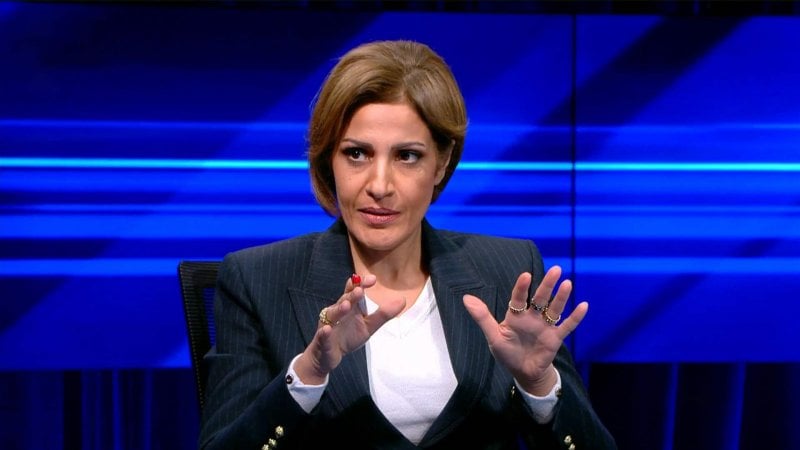 خسائر بالملايين والمساحات بالآلاف… تمارا الزين تكشف الثمن البيئي للحرب