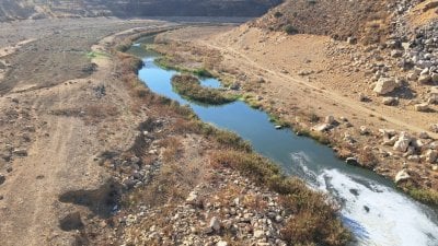 رصد مائي دقيق في الحوض الأدنى: حركة نشطة لمجاري الليطاني