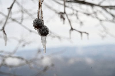 استعدوا لبرودة قد تمتدّ إلى عشرة أيام… وموجة صقيع في الطريق