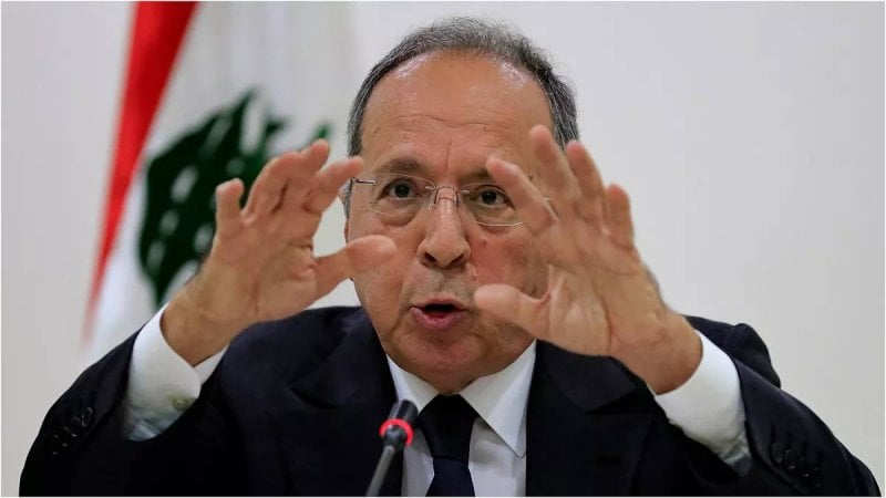 "لبنان بلد حساس"... السيد يحذر من تأثير القوى الخارجية على الداخل