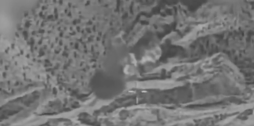 عملية "زئير الأسد"… الجيش الإسرائيلي ينشر مشاهد أولية (فيديو)