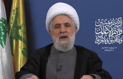 بين قرار الحكومة والعدوان.. قاسم يشرح 