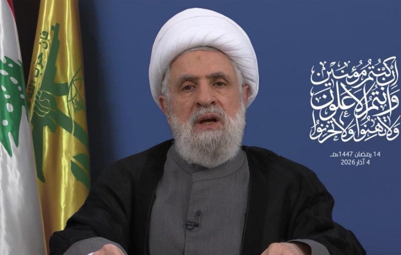 بين قرار الحكومة والعدوان.. قاسم يشرح 