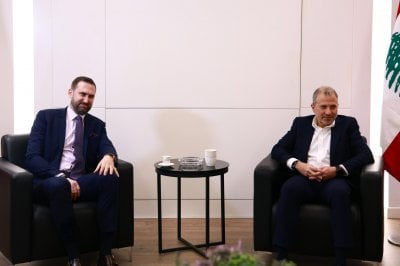 باسيل وجنبلاط يشددان على دعم الجيش واحتضان النازحين