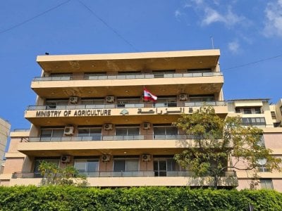 في مواجهة تداعيات الحرب... إجراءات عاجلة من وزارة الزراعة لحماية الإنتاج الغذائي