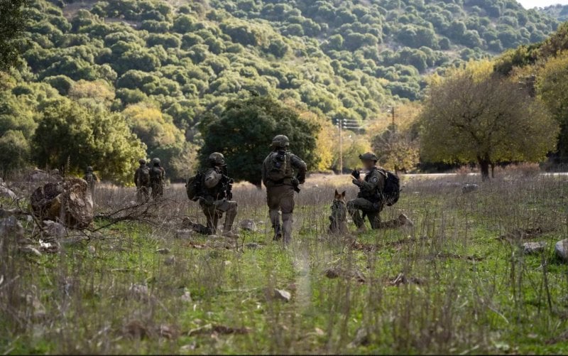 تحذير ألماني لإسرائيل… عملية برية في لبنان ستكون 