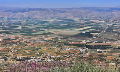 قتيل وإصابة 