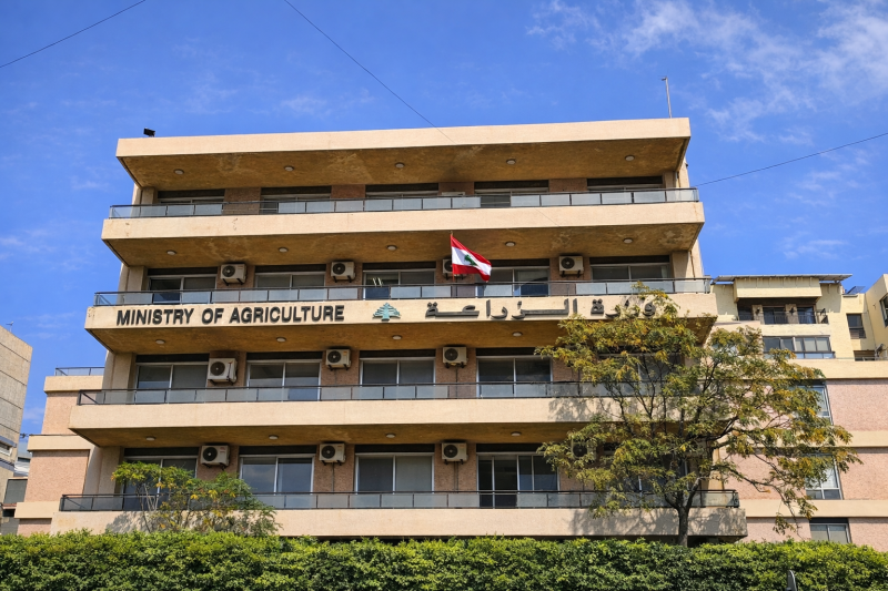 20% من الإنتاج في دائرة الخطر… "الزراعة" تتحرك لتأمين الغذاء  