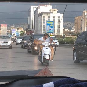 بالصورة: مخاوف لدى السفير الهولندي من القيادة في لبنان