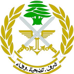 انتشار الجيش في محيط مخيم المية ومية