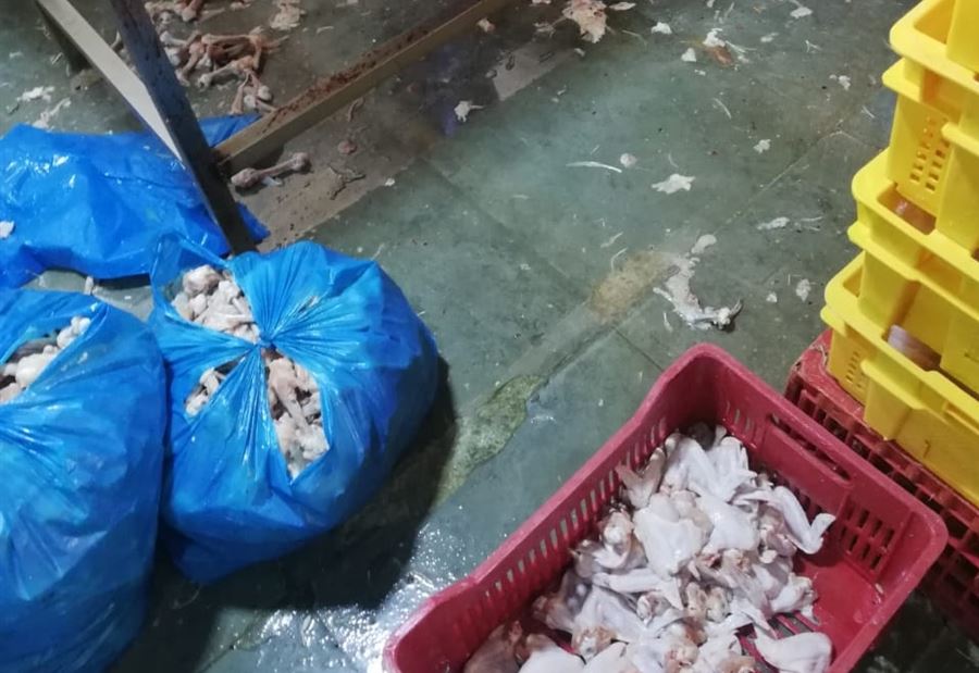 بضائع منتهية الصلاحية في طرابلس