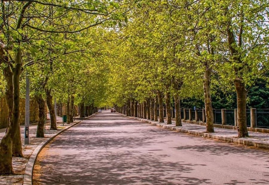 الطقس غائم مع انخفاض بسيط بالحرارة الطقس غائم مع انخفاض بسيط بالحرارة