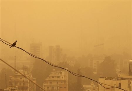 أسوأ جفاف يضرب الشرق الأوسط منذ ألف عام