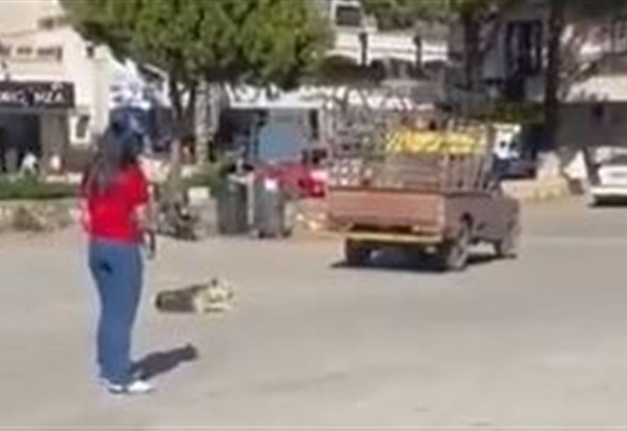 "جريمة وحشيّة" في البقاع الغربي... فيديو برسم المعنيين!  