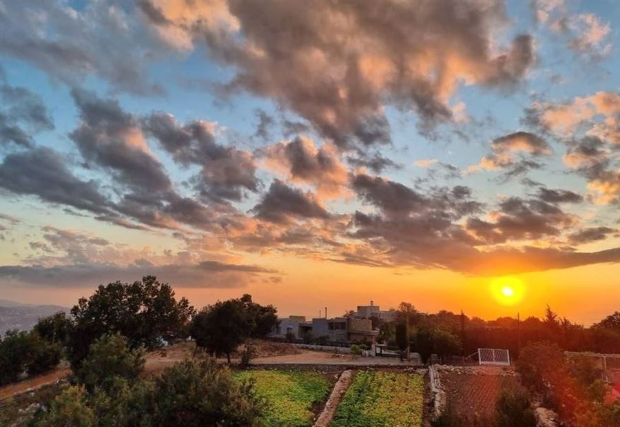طقس ربيعي يسيطر على لبنان