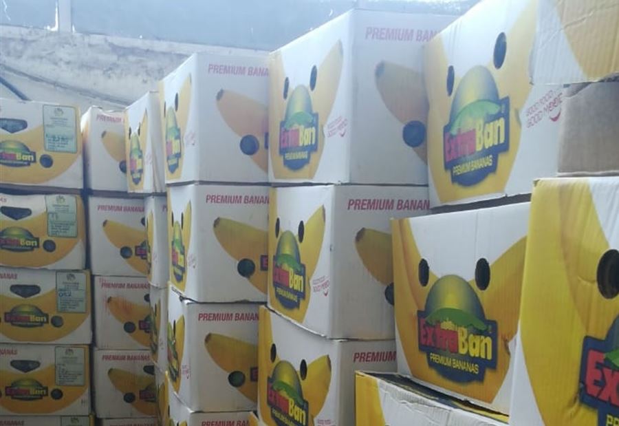 جمارك طرابلس ضبطت 3 طن من الموز المهرب