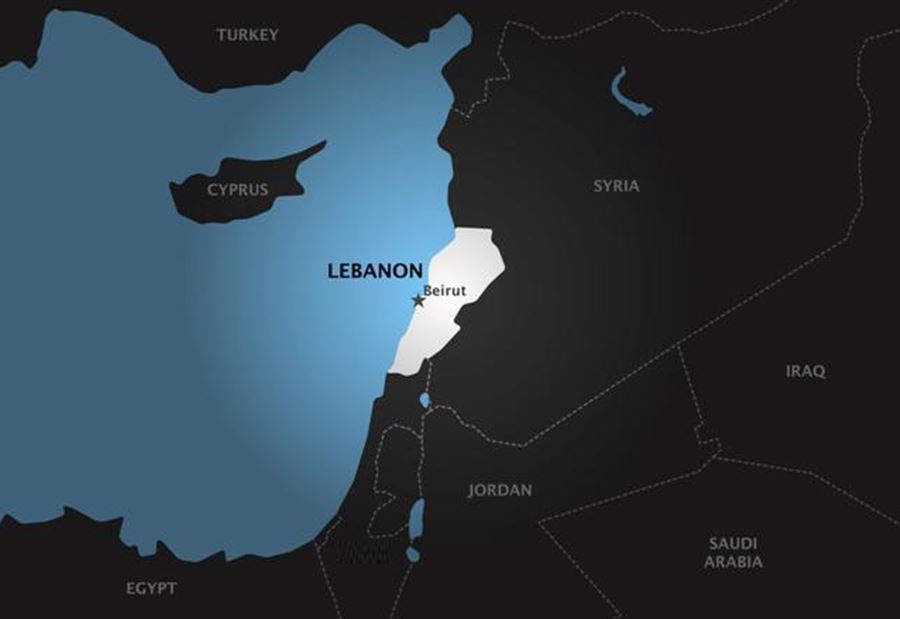 وفد حزب عربي في لبنان