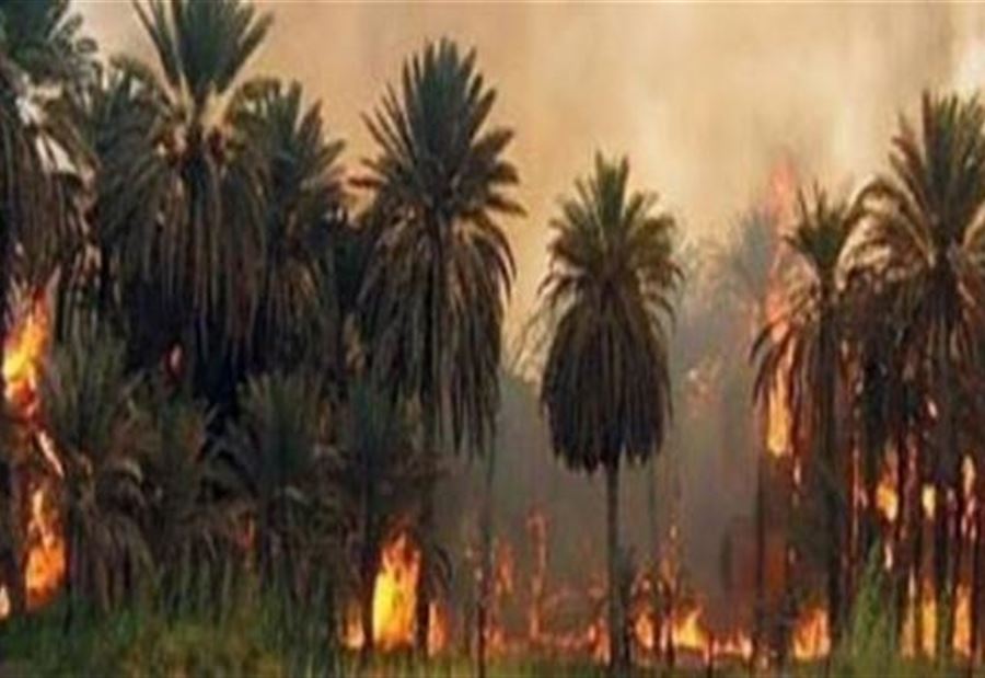 حرائق جديدة في بساتين عراقية