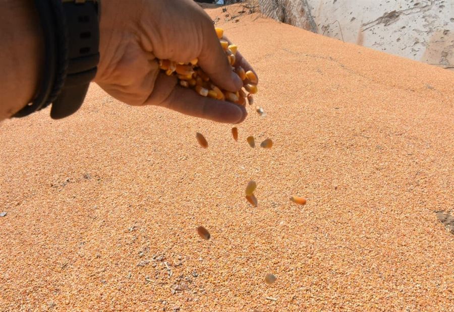 مبادرة من برنامج الغذاء العالمي إلى اللبنانيين مبادرة من برنامج الغذاء العالمي إلى اللبنانيين