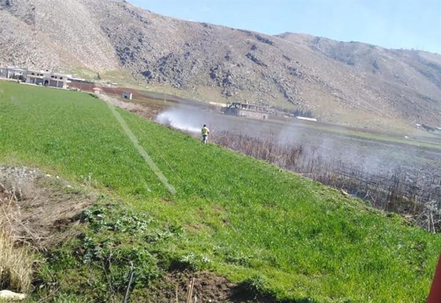بالصور: حريق أعشاب وحقل من القصب في البقاع