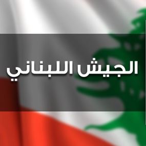 الجيش: تفجير ذخائر في العامرية صور