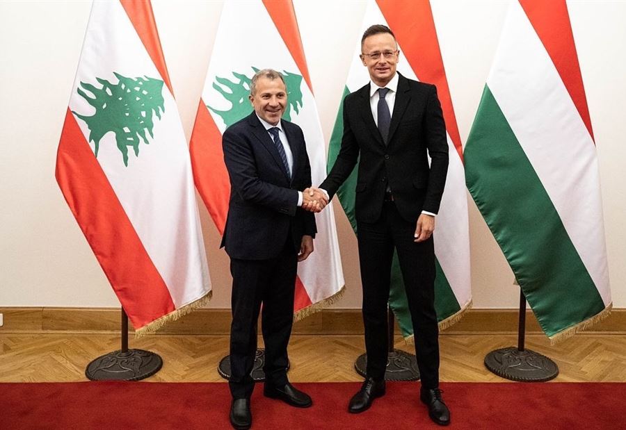 باسيل يُحذّر من "موجة نزوح جديدة"